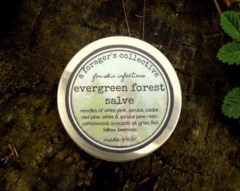 pine resin salve / evergreen forest salve / pine salve / evergreen salve / conifer salve / pine pitch salve