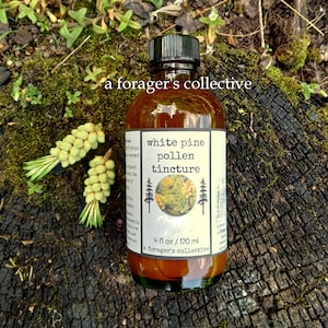 pine pollen tincture , herbal extract , anti oxidant , high quality