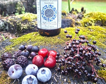 Antioxidant Herbal Tincture: Dark Berry & Pine Pollen Extract