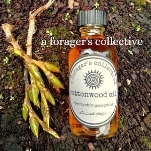 Cottonwood Oil , Balm of Gilead, Poplar resin , Double Infused