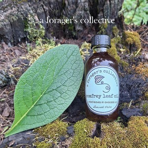 May include: A brown glass bottle of comfrey leaf oil with a black cap, a large green leaf, and the text "a forager's collective." The label reads "comfrey leaf oil" and "dried leaves in avocado oil." The oil is strained 7/16/25.