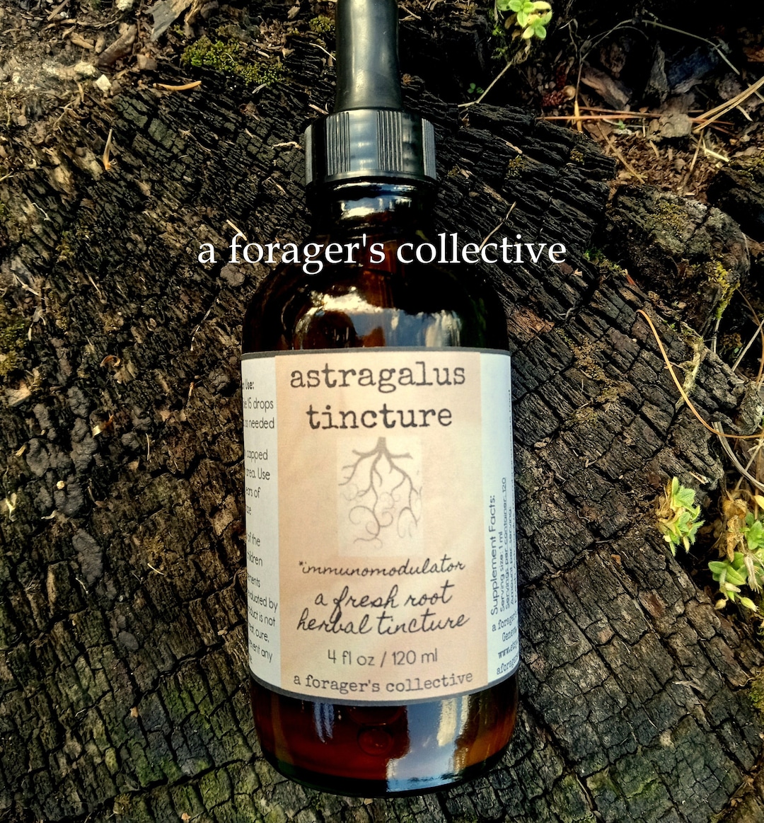 Astragalus Tincture / Astragalus Root Tincture / Astragalus Etsy