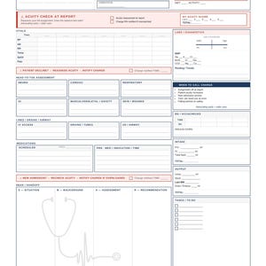 May include: A medical brain sheet with sections for patient information, vital signs, and assessments. The sheet includes areas for recording lab results, medications, and intake/output. A stethoscope graphic is at the bottom.