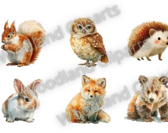Imágenes prediseñadas de animales del bosque en acuarela PNG, lindos animales del bosque con fondo transparente, paquete de zorro, conejo, oso y ciervo, sublimación para scrapbooking
