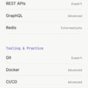May include: A digital portfolio website for Alex Rivera, a Senior Frontend Engineer. The page features a professional summary, selected projects including Ledger, Northbeam Dashboard, and Routeform, technical expertise lists, experience, and testimonials.