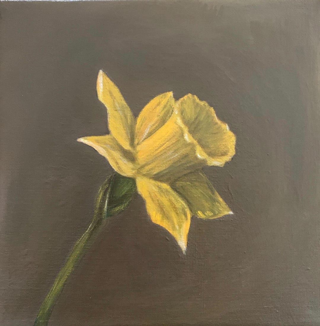 Hand painted Daffodil Spring Flower Art Expressive Brushstrokes hand-painted-daffodil-spring-flower-art-expressive-brushstrokes