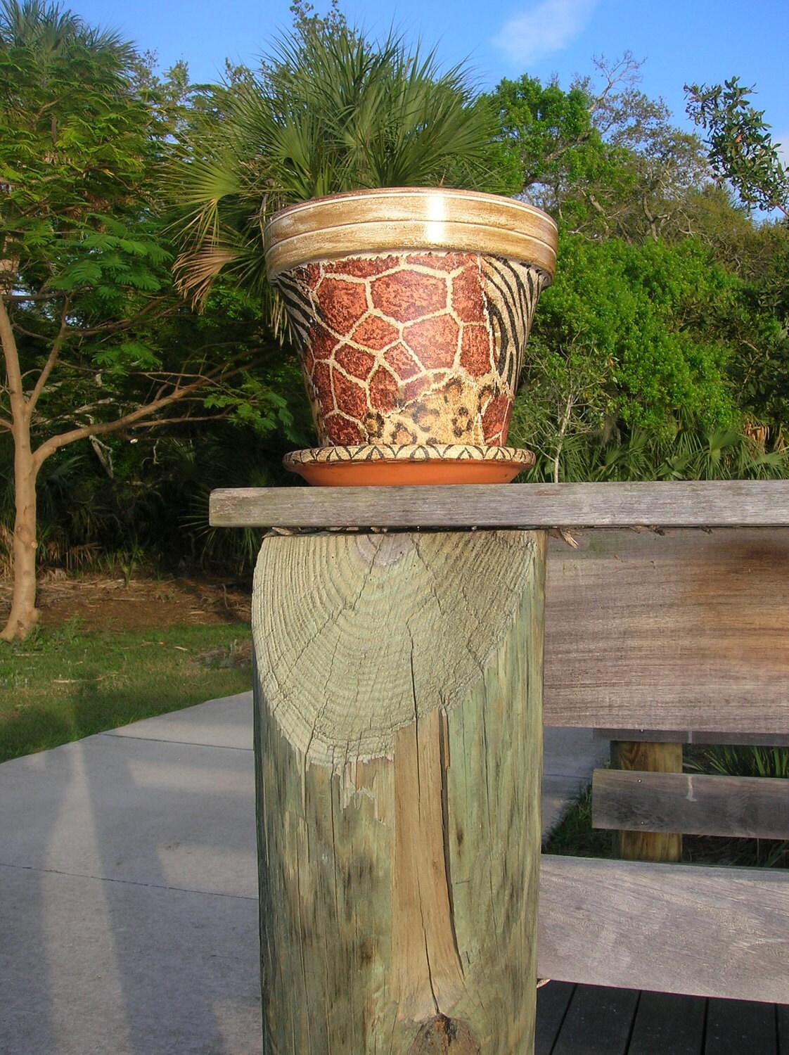 ANIMAL PRINT VASE Patio Clay Pot Garden Clay Vase Zebra Etsy