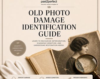 古い写真の損傷箇所特定ガイド｜傷、カビ、色あせ、水濡れによる損傷の診断