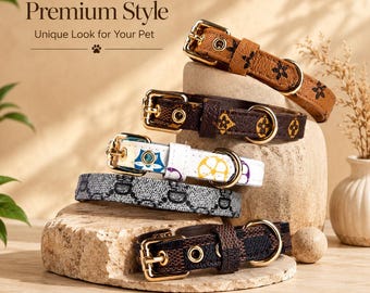 Set di collare e guinzaglio per cani di lusso impermeabile, corda da passeggio regolabile in pelle PU per animali domestici, accessori per cani resistenti e durevoli, collare per cani