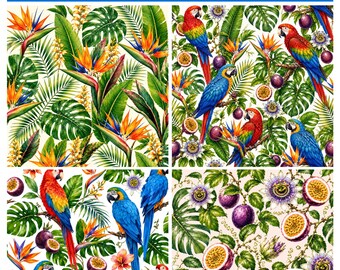 Majestic Macaws Digital Paper Bundle | 4 Watercolor Botanical Backgrounds | Birds of Paradise Wallpaper | PNG Download