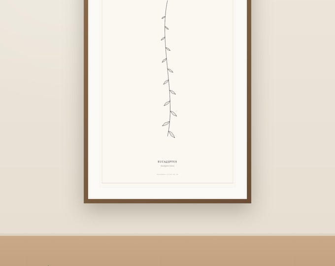 Eucalyptus Line Art