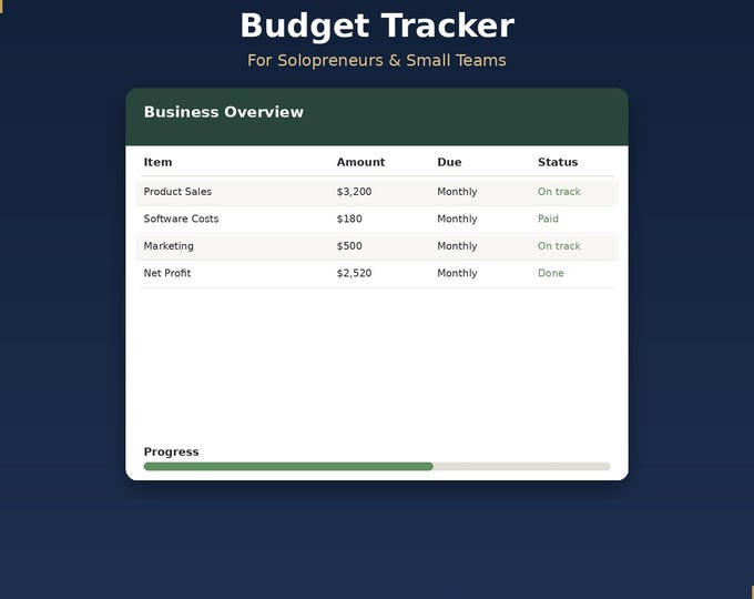 Small Business Budget Tracker | Solopreneur Finance Spreadsheet | Excel Google Sheets | Income Expense Tracker | Digital Download