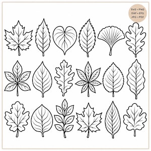 May include: A collection of eighteen black and white line art illustrations of various leaf shapes arranged in three rows. The image includes a circular badge in the top right corner with the text SVG, PNG, DXF, EPS, JPG, and PDF.