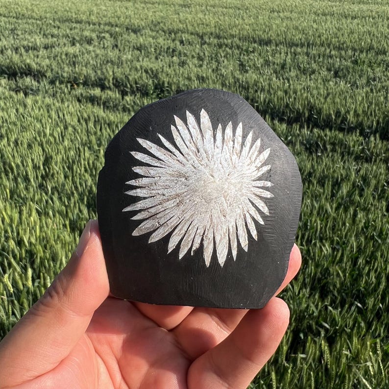 May include: A black, irregularly shaped stone with a white, stylized floral design carved into its surface. The stone is held in a hand, with a background of green field.