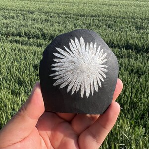 May include: A black, irregularly shaped stone with a white, stylized floral design carved into its surface. The flower's petals radiate from a central point. The stone is held in a hand, with a blurred green field in the background.