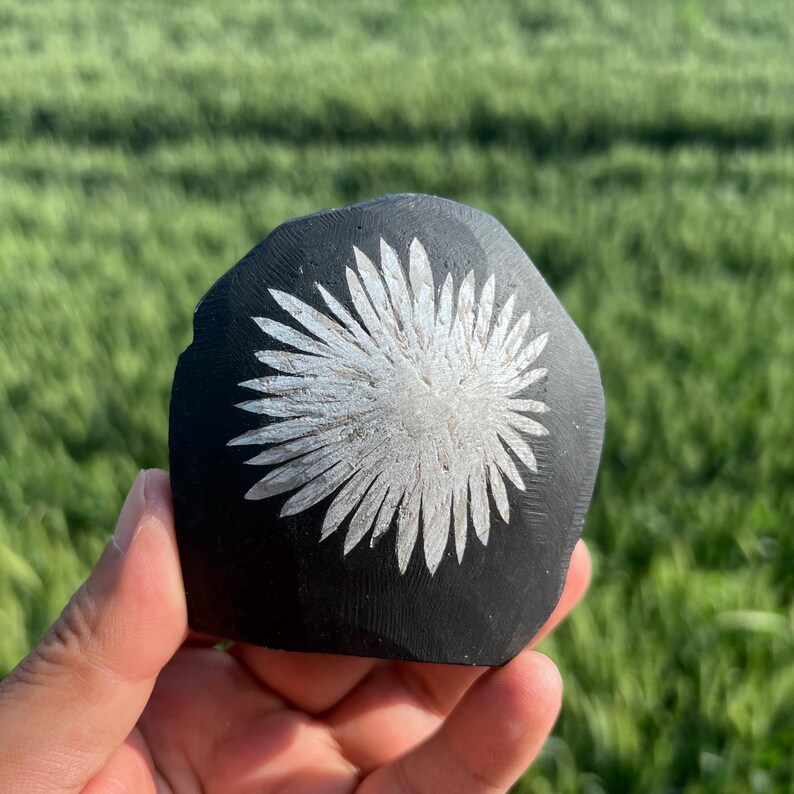 May include: A black, irregularly shaped stone with a white, stylized floral design carved into its surface. The stone is held in a hand against a backdrop of green grass.