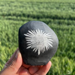 May include: A hand-held, dark gray stone with a carved white flower design. The flower has many pointed petals radiating from a central point. The stone is held against a blurred green background.