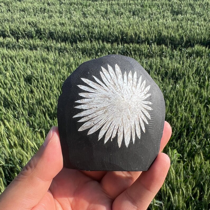 May include: A black, hand-carved stone with a white floral design. The stone is held in a hand, with a blurred green field in the background. The floral design is a stylized sunburst.