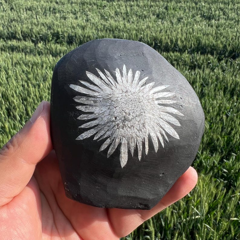 May include: A black, hand-carved stone with a white floral design. The flower has detailed petals radiating from a central point. The stone is held in a hand, with a green grassy background.