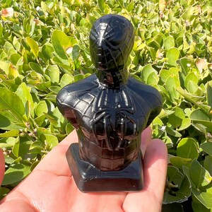 May include: A black bust of Spider-Man, featuring the character's iconic mask and suit design. The bust is held in a hand, showcasing the glossy finish and intricate details of the superhero's costume. The bust is set against a backdrop of green foliage.