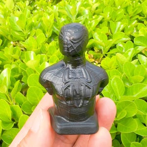 May include: A black bust of Spider-Man, featuring the character's mask and costume details. The sculpture is held in a hand against a backdrop of green foliage. The bust is a solid, dark color, with visible textures.