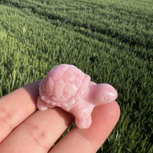 Op de afbeelding: Een kleine, roze edelsteen schildpad figuur. De schildpad heeft een gedetailleerd schildpatroon en wordt in een hand gehouden tegen een achtergrond van groen gras. Het beeldje heeft een licht, pastelroze kleur.