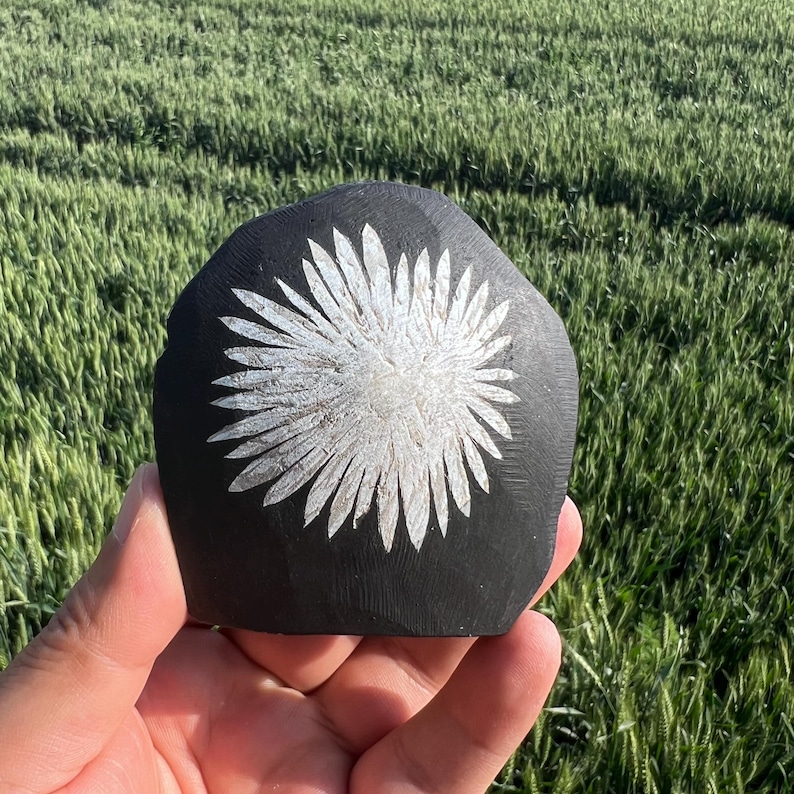 May include: A black, hand-carved stone with a white floral design. The flower has multiple petals radiating from a central point. The stone is held in a hand, with a green field in the background.