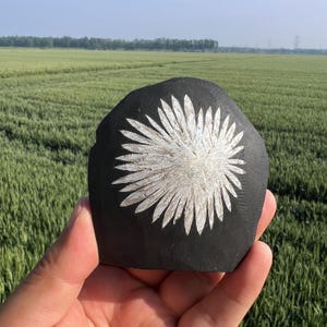 May include: A black, irregularly shaped stone with a white, stylized floral design. The stone is held in a hand, with a green field and blue sky in the background. The floral design has a central circular shape with radiating petals.