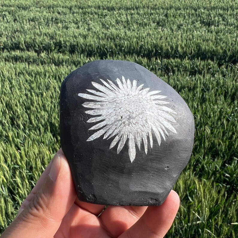 May include: A hand-held, black painted stone with a white floral design. The stone has a smooth, rounded shape and the white flower is centered on the front. The background is a field of green wheat.