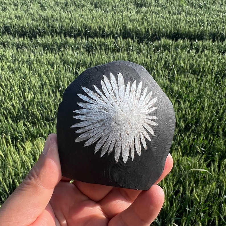 May include: A black, irregularly shaped stone with a carved, stylized flower design in silver. The stone is held in a hand, with a background of green grass.