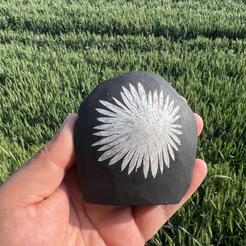 May include: A black, hand-held, carved stone with a white, stylized floral design. The stone is held in a hand against a background of green grass.