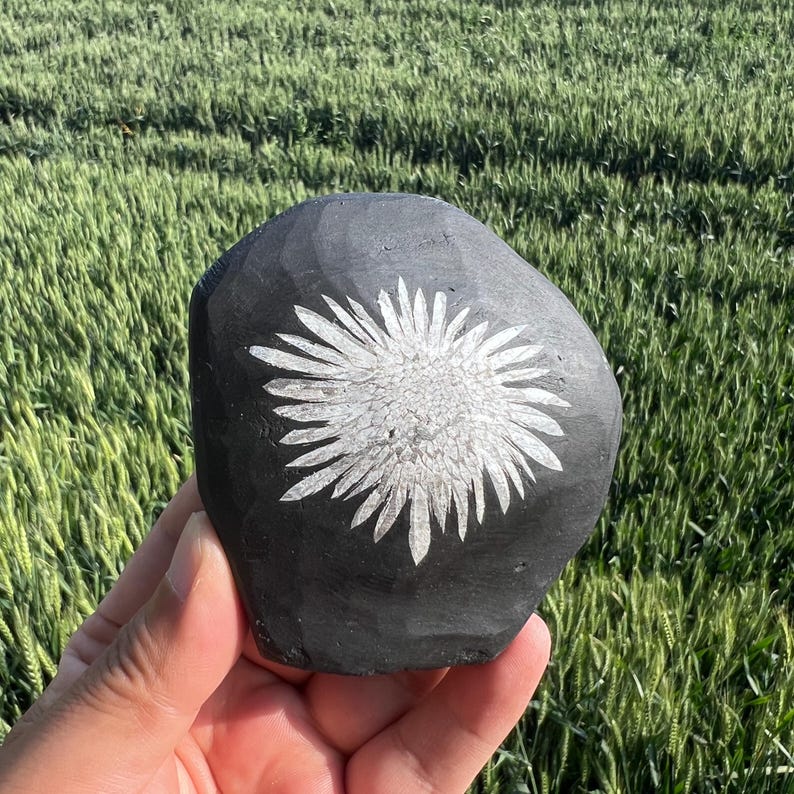 May include: A black, smooth stone with a white, stylized flower design carved into its surface. The stone is held in a hand, with a background of green grass.