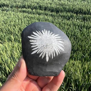 May include: A black, smooth stone with a white, stylized flower design. The stone is held against a backdrop of green grass. The flower design features numerous pointed petals radiating from a central point.