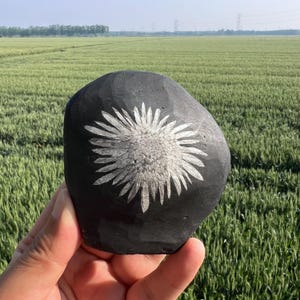May include: A black, carved stone with a white flower design. The stone is held in front of a green field. The flower has a detailed, textured appearance, with numerous petals radiating from the center. The stone's surface is smooth and dark, providing a contrast to the bright flower.
