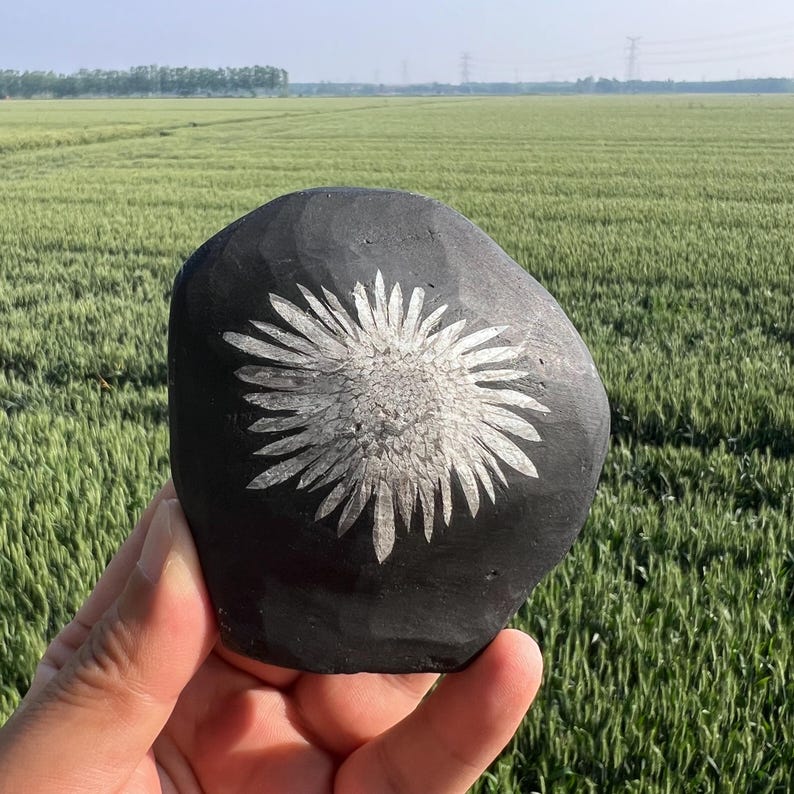 May include: A black, carved stone with a white flower design. The stone is held in front of a green field. The flower has a detailed, textured appearance, with numerous petals radiating from the center. The stone's surface is smooth and dark, providing a contrast to the bright flower.