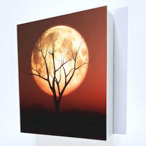 Puede incluir: Impresión enmarcada que presenta un árbol silueteado contra una gran luna llena naranja en un cielo rojo oscuro. Las ramas desnudas del árbol se extienden hacia la luna, con un paisaje oscuro y sombreado en la parte inferior. El marco es blanco.