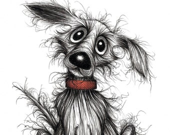 Mr Fluffy Print download Scruffy shabby smelly pet dog doggie pooch hound mutt with red collar who's desperate to find a new loving home