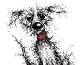 Fuzzy dog Print download Very shabby scruffy pet pooch mutt doggie with tatty fur thin tail and grumpy face Funny animal picture