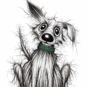 Mr Mucky the dog Print download Cute little pet pooch puppy doggie with sticky up ear wearing green collar Printable animal image picture