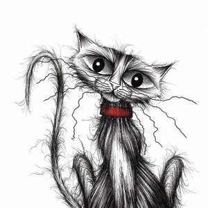 Greedy the cat Print A4 size picture Very cute little kitten puss kittycat with sweet adorable face and fish Drawing sketch printed on paper