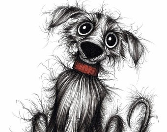 Fuzzy pooch Print download Quite shabby and scruffy but cute friendly little pet dog doggie pup wearing smart collar Animal image picture