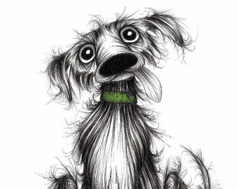 Jack Print download Slightly weird looking pet pooch with sticky out tongue wearing green collar Happy pup with funny face Animal picture