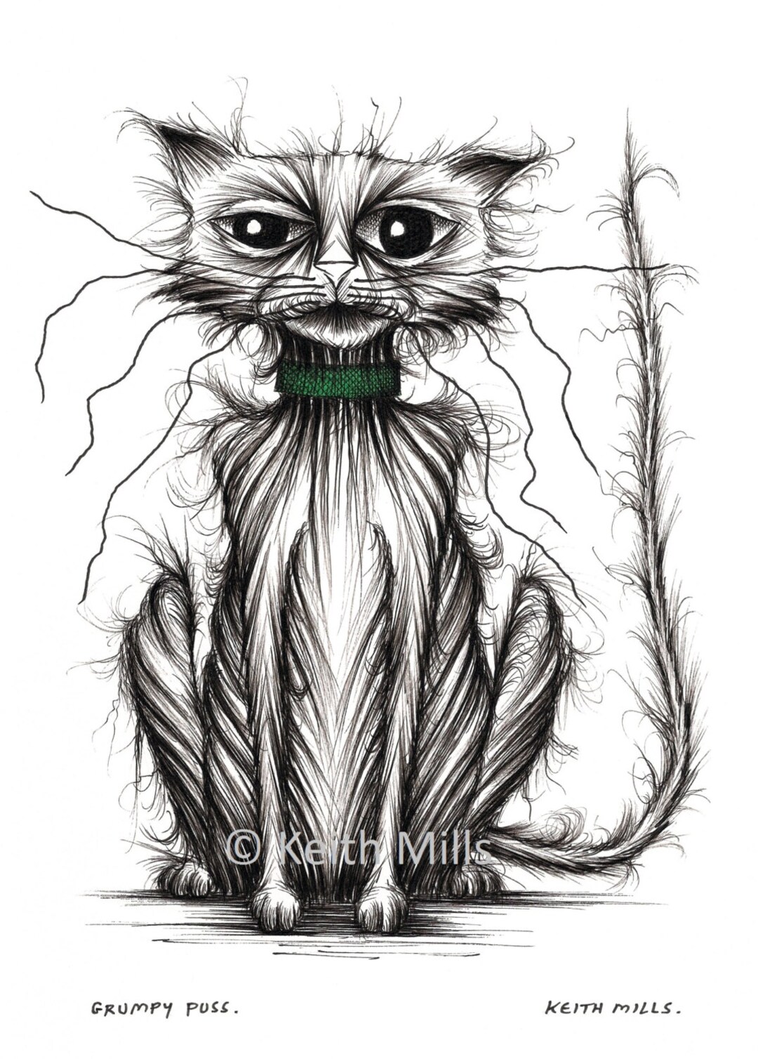 Grumpy Pus This item is unavailable - Etsy