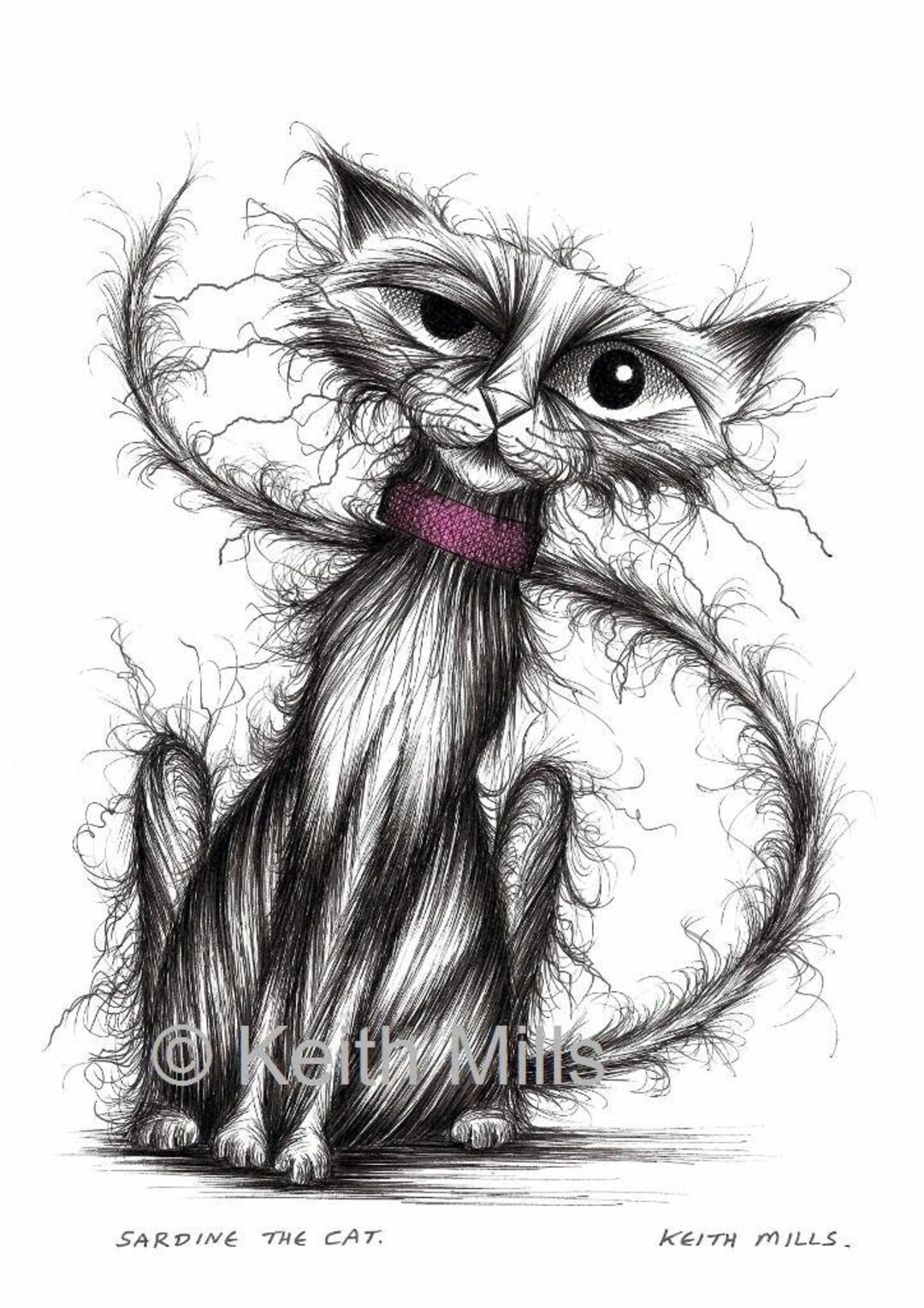 Sardine the Cat Print Download Very Long Tailed Pet Puss Kitty - Etsy