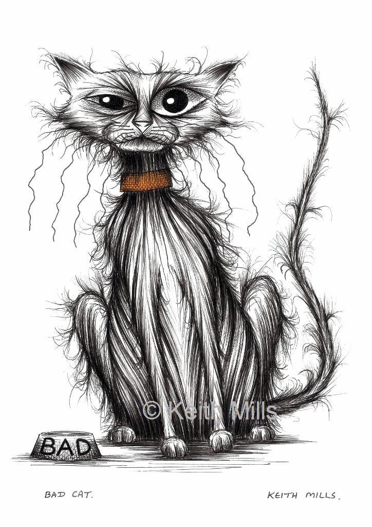 Bad cat Print A4 size picture Naughty scruffy miserable -  Portugal