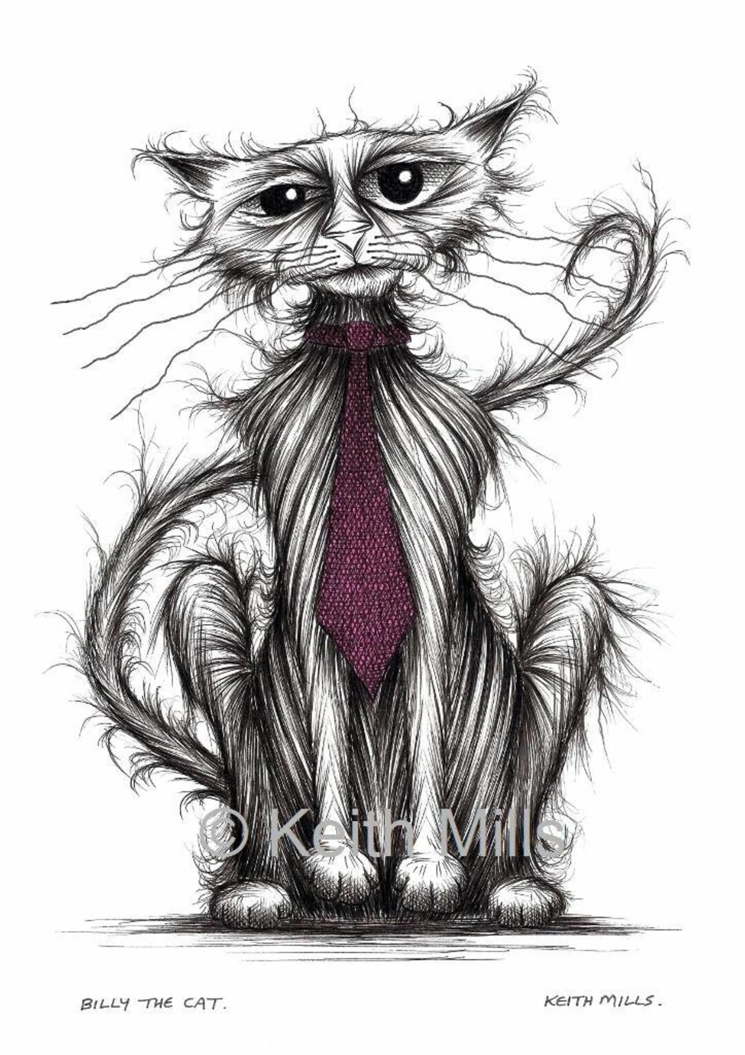 grumpy cat pencil drawing