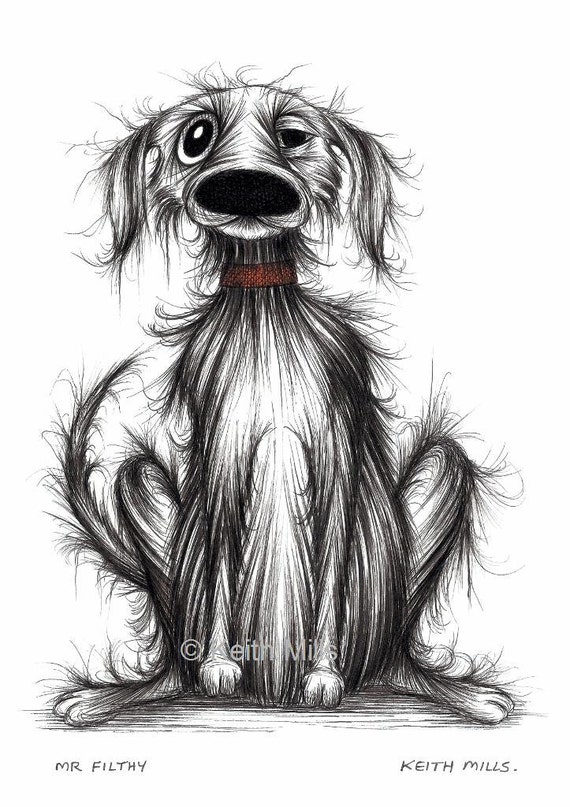 Why Is My Dogs Eye Half Closed