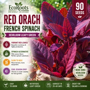 May include: A packet of 90 Red Orach French Spinach heirloom seeds featuring vibrant red leaves. The packaging includes text describing the plant as a spinach alternative, slow to bolt, and a cool season crop, with non-GMO heirloom seeds.