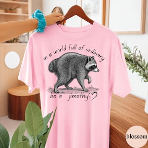 Peut inclure: Un t-shirt rose clair &agrave; manches courtes orn&eacute; d'une illustration en noir et blanc d'un raton laveur. Le texte au-dessus du raton laveur indique "in a world full of ordinary" et le texte en dessous "be a jimothy" avec un petit c&oelig;ur noir.