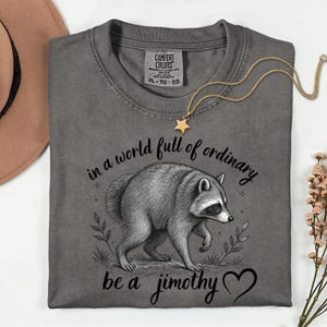 Peut inclure: Un t-shirt &agrave; col rond gris anthracite avec une illustration en noir et blanc d'un raton laveur. Le texte indique "in a world full of ordinary be a jimothy" avec un c&oelig;ur. Le t-shirt porte une &eacute;tiquette Comfort Colors et un pendentif en &eacute;toile.